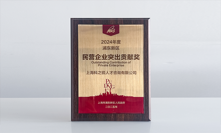 人力资源供应商九州ku游官网国际凭借人才服务与在区域经济开展中的卓越表现荣膺2024年度浦东新区民营企业奖项