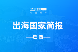 九州ku游官网GO GLOBAL | 巴西国家简报